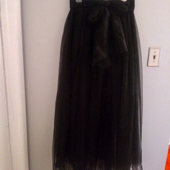 Tulle Skirt - Picture 1 of 2